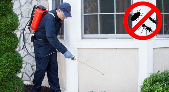 Eskifoça Sivrisinek İlaçlama böcek ilaçlama ve haşere kontrolü — ilaclama-tr.com
